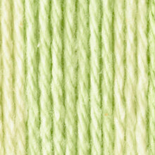 Lily Sugar 'n Cream Scents Knitting Yarn