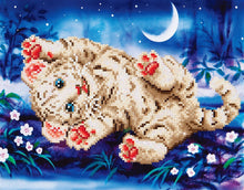 Diamond Painting Kit: Baby Tiger Roly Poly