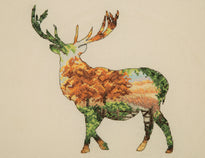 Counted Cross Stitch Kit: Maia Collection: Stag Silhouette