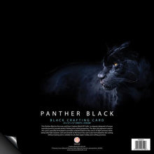 Panther Black 210gsm Card - 50 12" x 12" Sheets