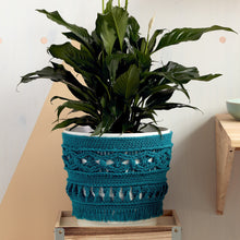 CROCHET PATTERN - Large Potted Plant Crochet Cozy