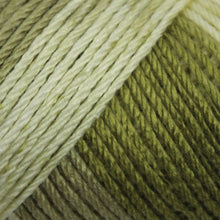 Caron Simply Soft Aran Yarn 141g - Ombres