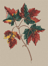 Floragenius Cross Stitch Kits - Acer Rubrum by Clarissa Badger