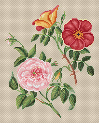 Floragenius Cross Stitch Kits - Copper & Virgin Rose by Stark