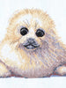 Animal Magic - Counted Cross Stitch Kit - Seal Pup